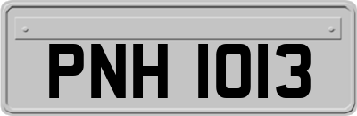 PNH1013