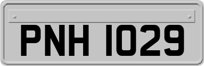 PNH1029