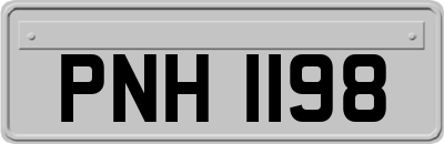 PNH1198