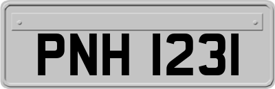 PNH1231