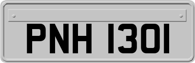 PNH1301