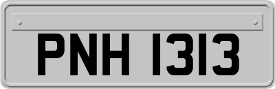 PNH1313