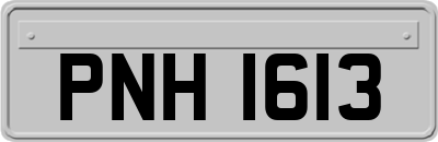 PNH1613