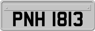 PNH1813