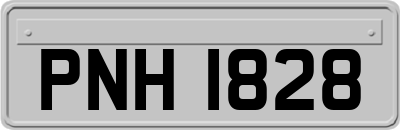 PNH1828