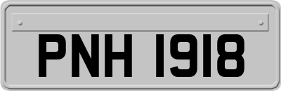 PNH1918
