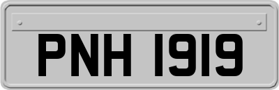PNH1919