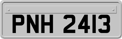 PNH2413