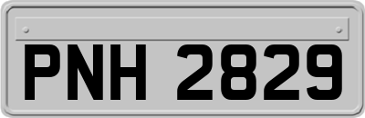 PNH2829