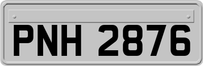 PNH2876
