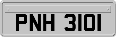 PNH3101