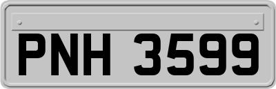 PNH3599