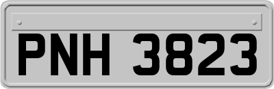 PNH3823