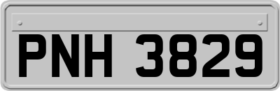 PNH3829