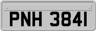 PNH3841