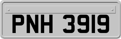 PNH3919