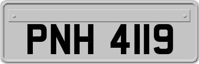 PNH4119