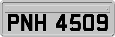 PNH4509