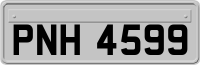 PNH4599