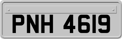 PNH4619