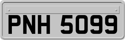 PNH5099
