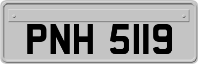PNH5119