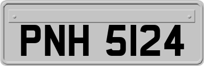 PNH5124