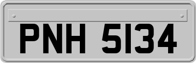 PNH5134