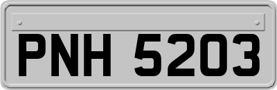 PNH5203