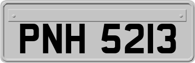 PNH5213