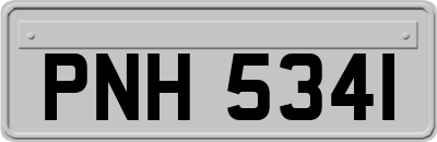 PNH5341