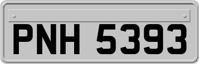 PNH5393