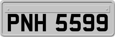 PNH5599