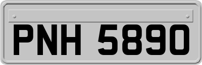 PNH5890