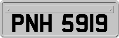 PNH5919