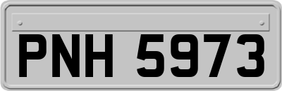 PNH5973