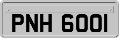 PNH6001