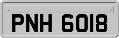 PNH6018