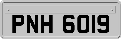 PNH6019