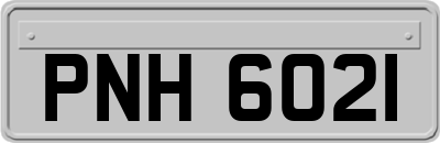 PNH6021