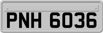 PNH6036
