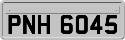 PNH6045