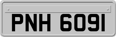PNH6091