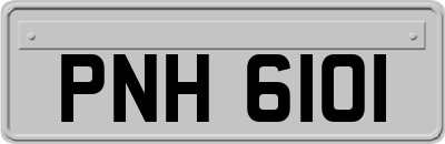 PNH6101