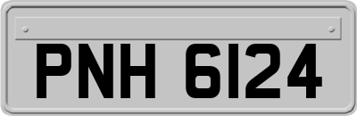 PNH6124