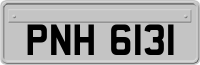 PNH6131