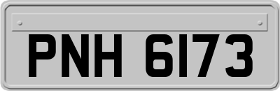 PNH6173