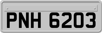 PNH6203