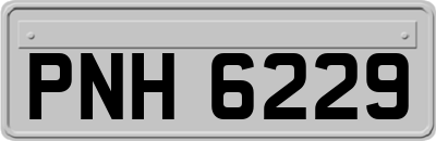 PNH6229