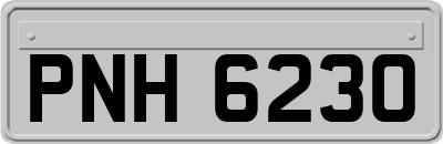 PNH6230